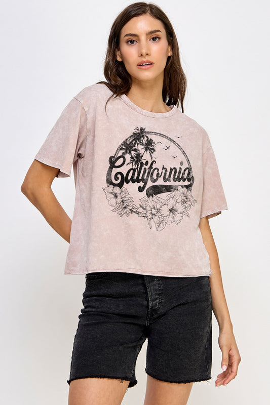 Vintage Taupe California Graphic Tee